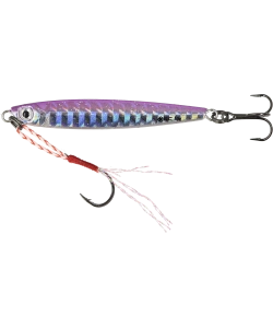800_gc-dasher-7_0g-204