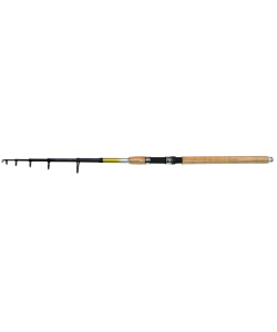 fortune_rod