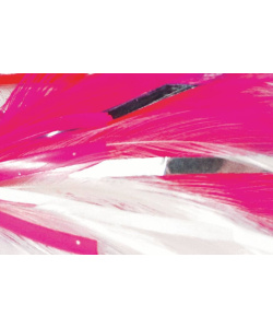 ftera_colors_1layer_edit_tassos_roz