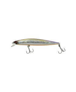 minnow_110f-072