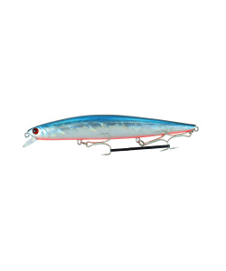 minnow_130f-012