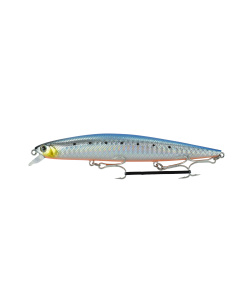 minnow_130f-033