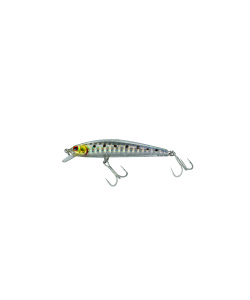 minnow_65f-071