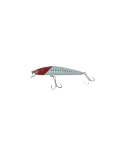 minnow_65f-077