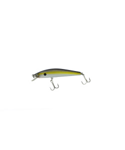 minnow_65f-_079