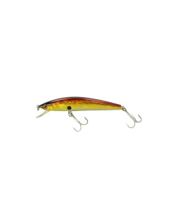 minnow_80sp-003