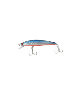 minnow_80sp-012