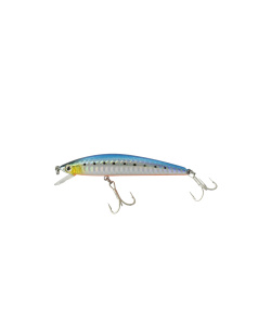 minnow_80sp-033