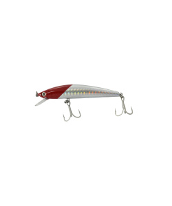 minnow_80sp-077