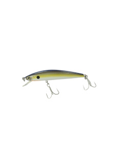 minnow_80sp-079
